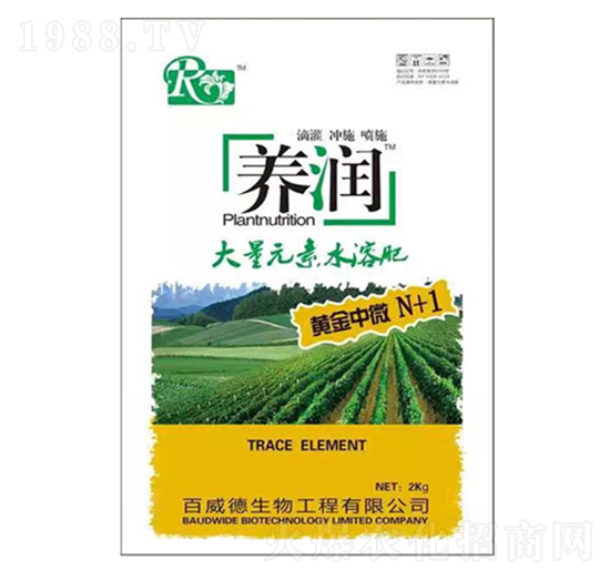 ����Ԫ��ˮ��-�B(y��ng)��(r��n)�S����΢N+1-������