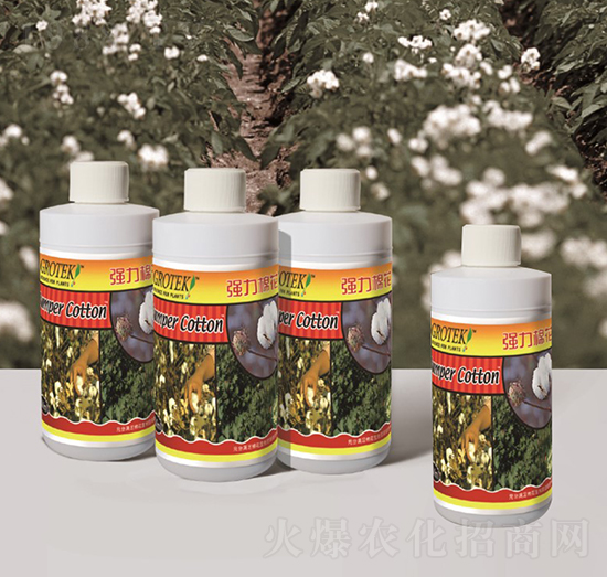 �޻������~���-�����޻�-������