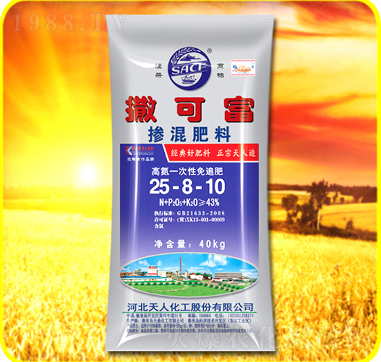 �������25-8-10-���ɸ�-���˻���