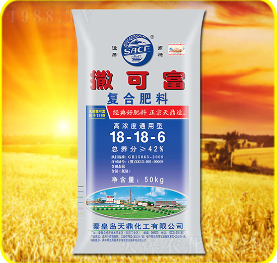 �ͺϷ���18-18-6-���ɸ�-���˻���