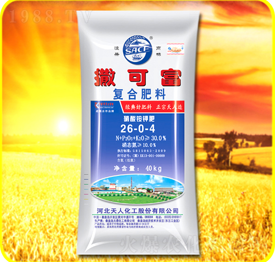 �ͺϷ���26-0-4-���ɸ�-���˻���