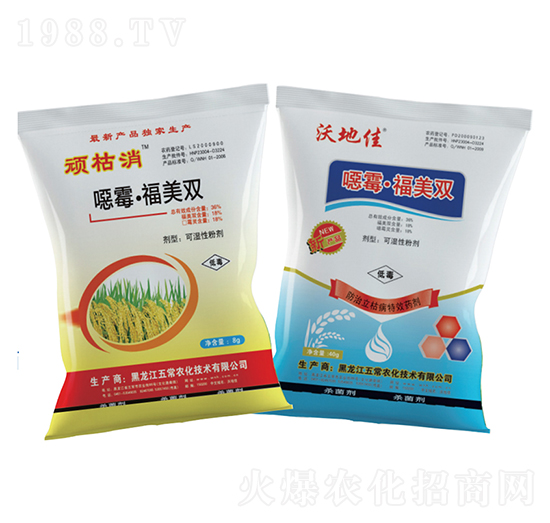 �fù�������p-�峣