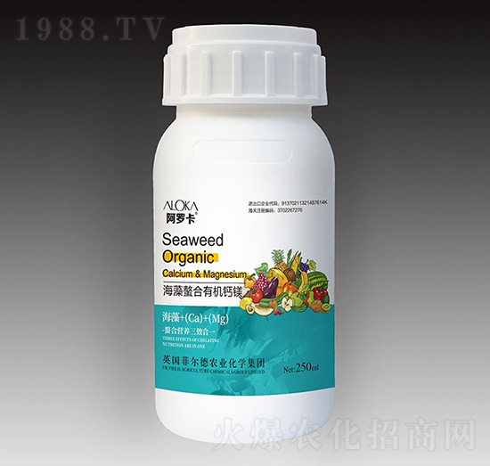 ���������ЙC�}�V-�����_-�Ɲ��r��