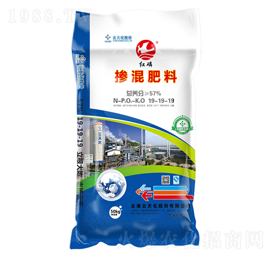 �������19-19-19-�t��-���o(j��)����