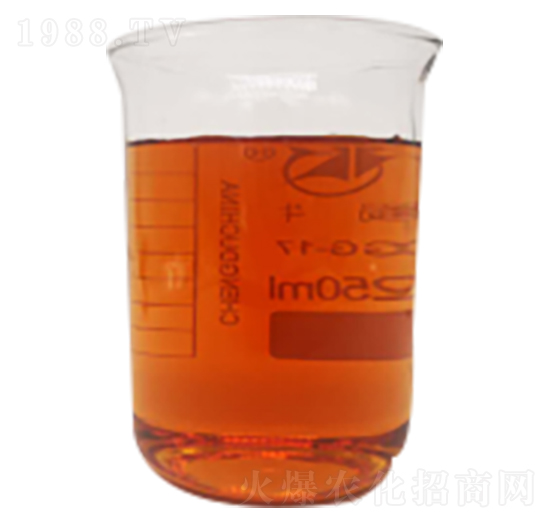 ø�ⰱ����-����(r��n)�Ƽ�