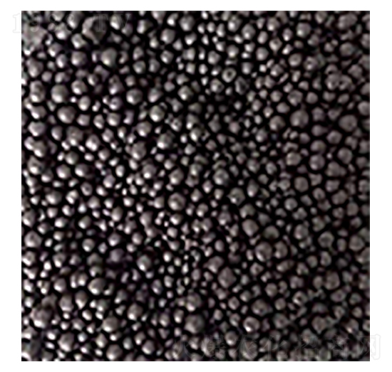 ���ЙC��-�ŝ��r(n��ng)�I(y��)