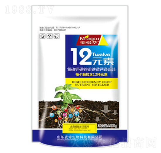 12Ԫ��-��������