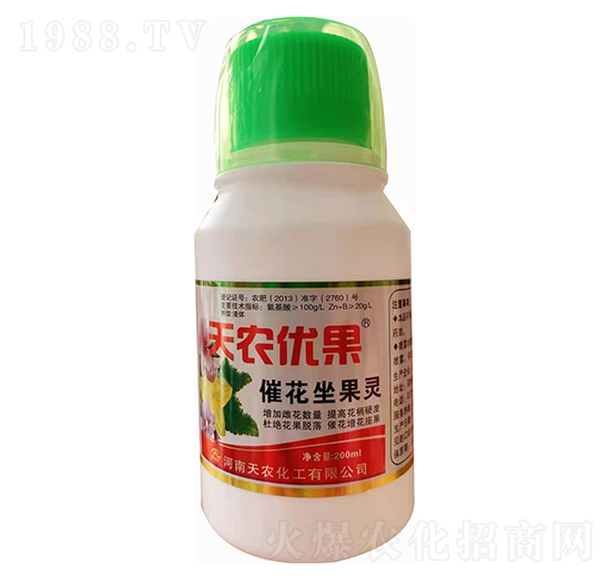 �߻������`-���r(n��ng)��(y��u)��-���r(n��ng)����