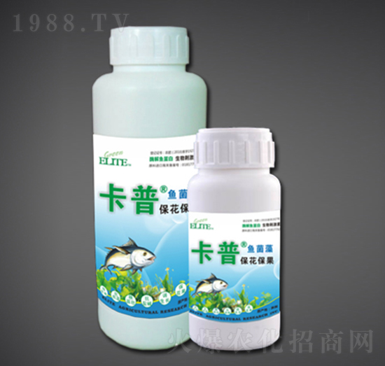 ����������ø���~����-�G�����