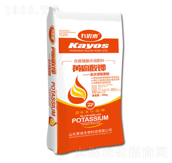 �S�����-��������