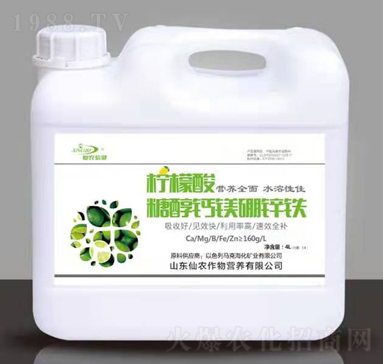 4L������-�Ǵ��}�V���\�F-���r����