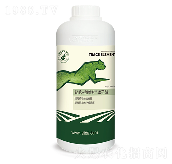 ��S���x�ӹ�-���}