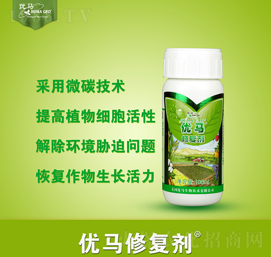 ��(y��u)�R�ޏ̈́�-��(y��u)�R����