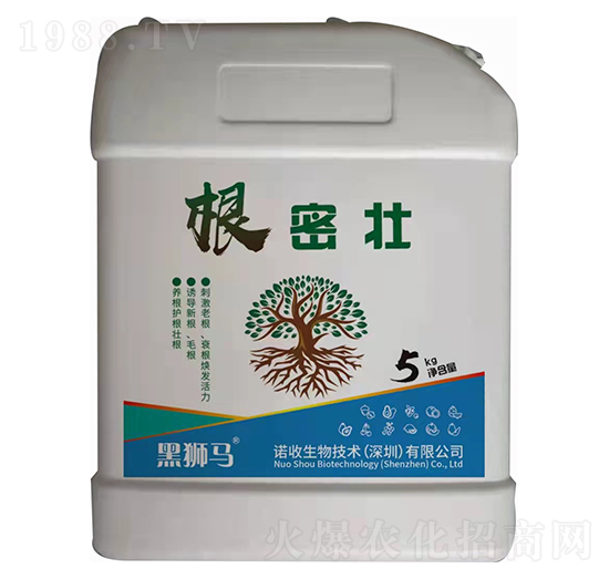 ���܉�-�ڪ{�R-�Z������