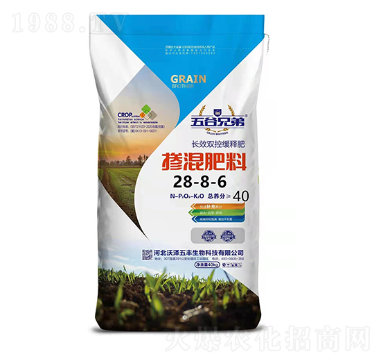 �������28-8-6-����ֵ�-�֝����S