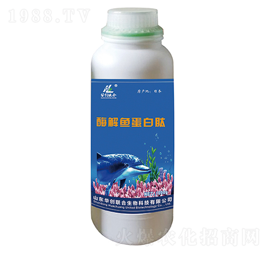 ø���~(y��)�����ģ�1000g��-�A��(chu��ng)(li��n)��