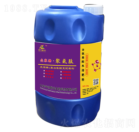 �����ǡ��۰���-�A��(chu��ng)(li��n)��