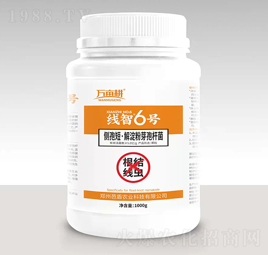 ���Y(ji��)���x����-����6̖(h��o)-��ķ������