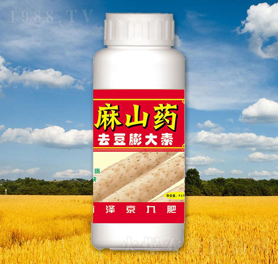 ȥ�������-��ɽˎ-����