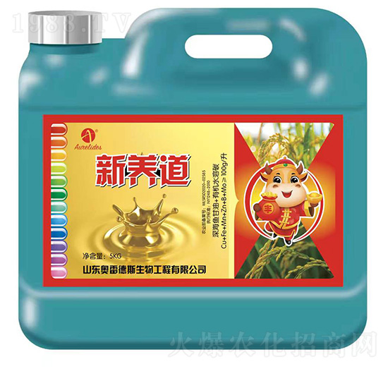 ���B(y��ng)��-�W�׵�˹