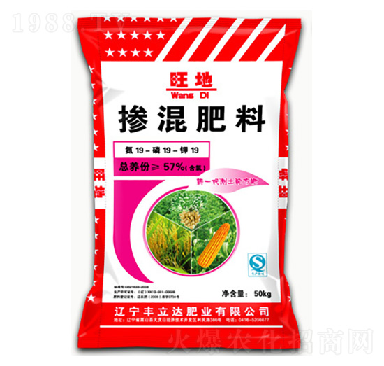 �������19-19-19-����-�S���_(d��)