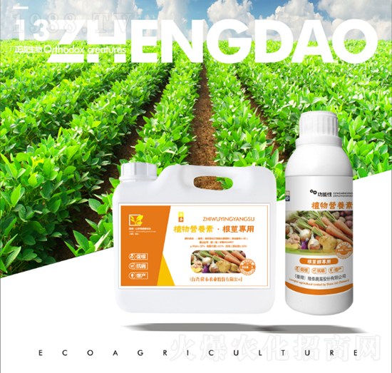 ���o����ֲ��I(y��ng)�B(y��ng)��-��������