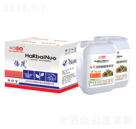 �������n��⛌�-�A�����Z