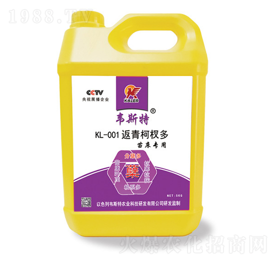 �紲KL-001�����辶�-�f˹��-��(l��)�r(n��ng)�I(y��)