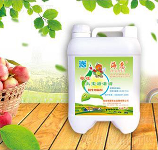 ���Ѵ�������΢�������-����