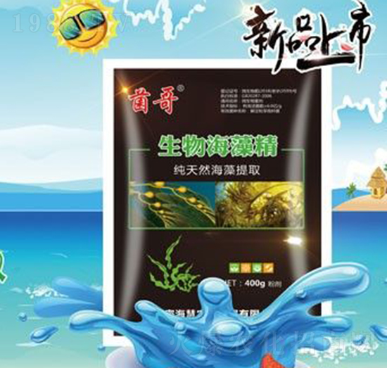 ���ﺣ�徫-����