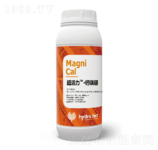 ���������}�V��-�������