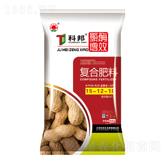 ��ø��Ч�ͺϷ���15-12-10-�ư����B(t��i)