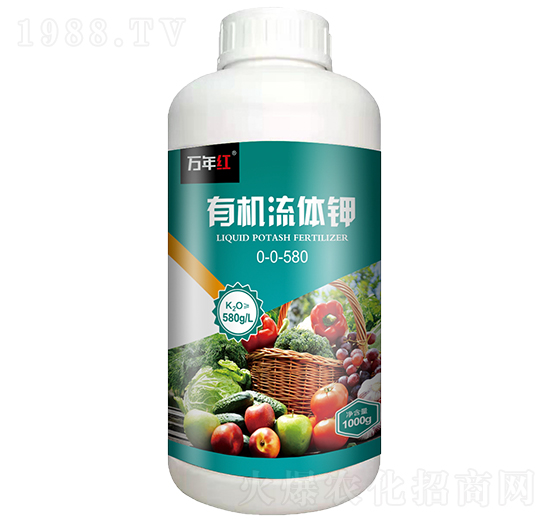 1000g�ЙC���w�-�f��t-�Z�\��