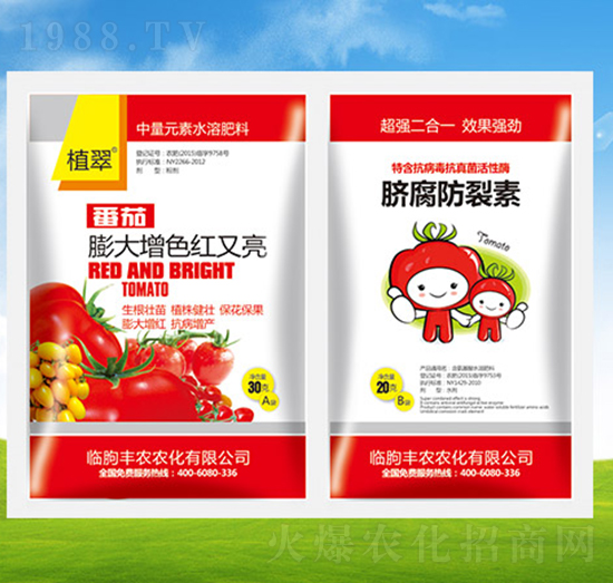 �����ɫ�t����+����������-ֲ��-�S�r�r��