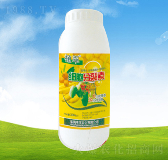 ���������ء�ƿ��-ֲ��-�S�r�r��