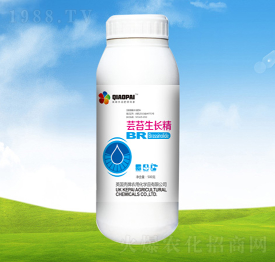 �|̦���L��-ֲ��-�S�r(n��ng)�r(n��ng)��