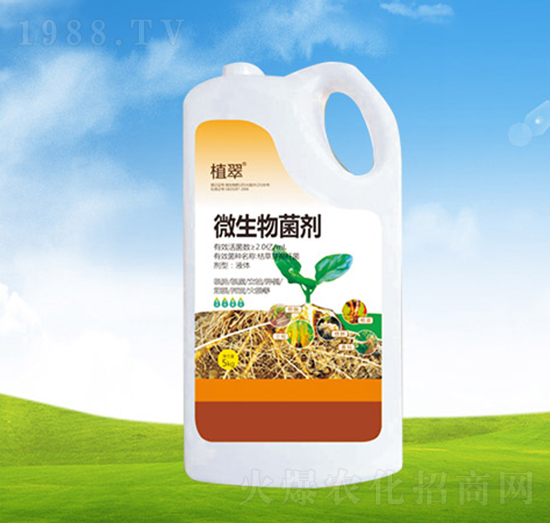 ΢�������-ֲ��-�S�r�r��