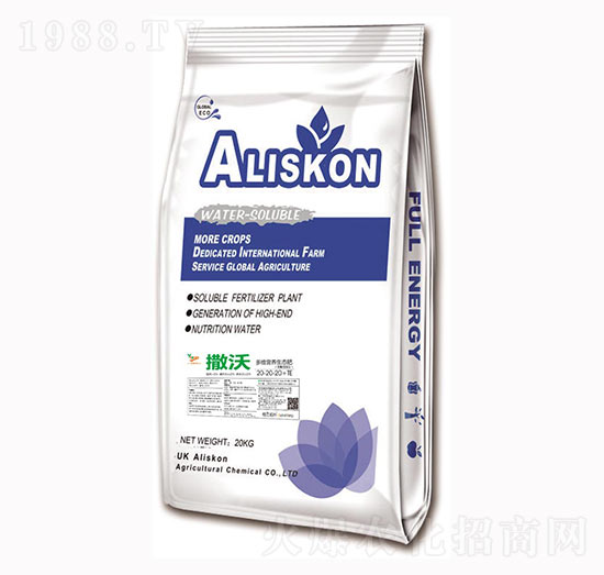 ��S�I�B(y��ng)���B(t��i)��20-20-20+TE-����-���{