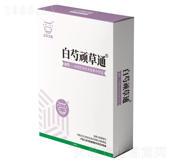 �����B��ͨ-���A����