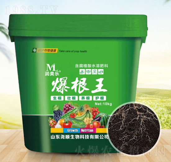 ����ֲ��ˮ�ܷ���-������-�������