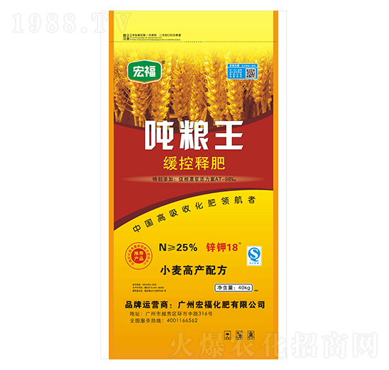 ����ጷ�-���Z��-�������