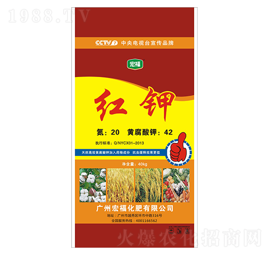 �t�-�긣����