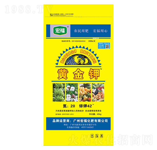 �S���-�������