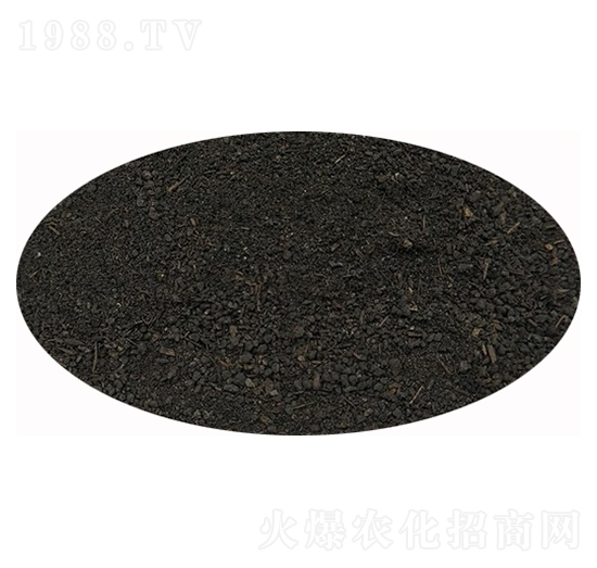 �����ЙC�ʷۄ�-��ɏ���