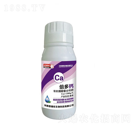 �ЙC�Ǵ������}��-�����}-ϲ����