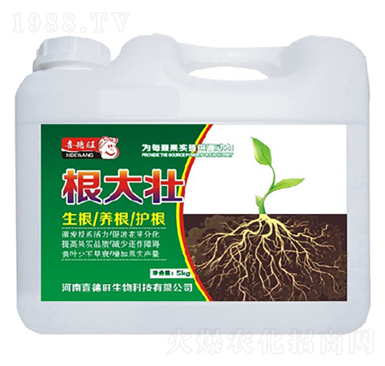 �����-ϲ����