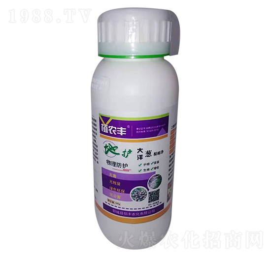 ֲ�r�S�����[������-���S�r��