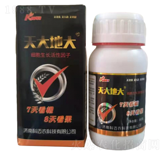 ���ش�-���~�r(n��ng)