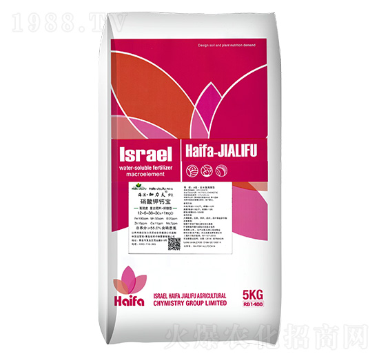 ������}��-����������5̖(h��o)-����������