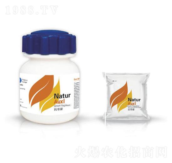 ������-�{��